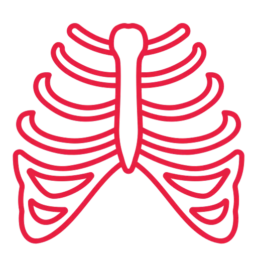 Chest/Lungs