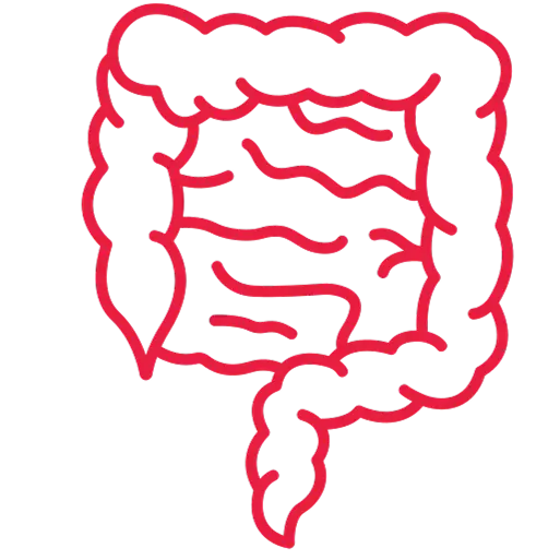 Virtual Colonoscopies